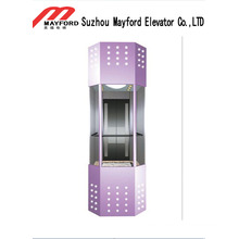 630kg Panoramic Elevator with Machine Roomless